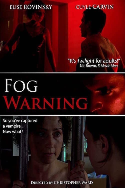 Fog Warning (2011) poster