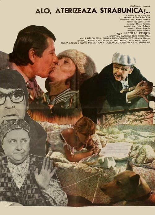 Alo, aterizează străbunica! (1981) poster
