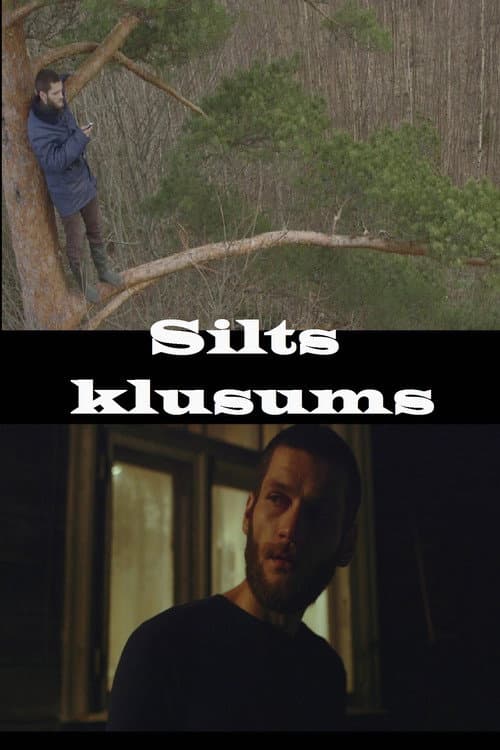 Silts klusums (2016) poster