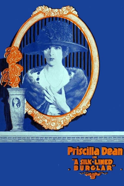 The Silk Lined Burglar (1919) poster