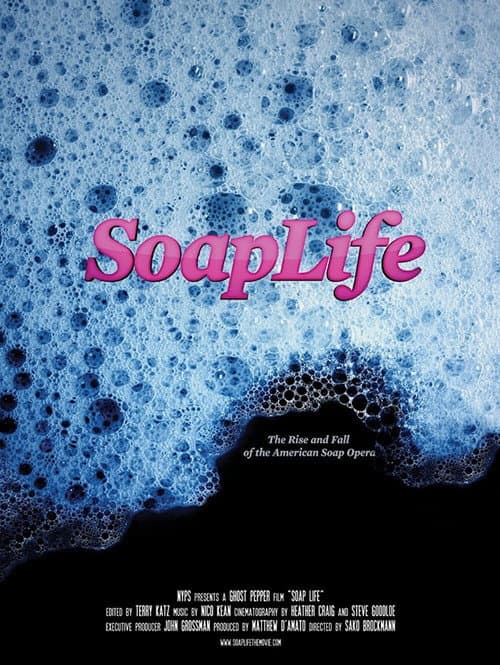 Soap Life (2013) poster