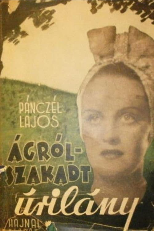 Ágrólszakadt úrilány (1943) poster