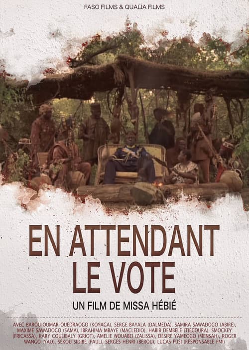 En attendant le vote... (2011) poster