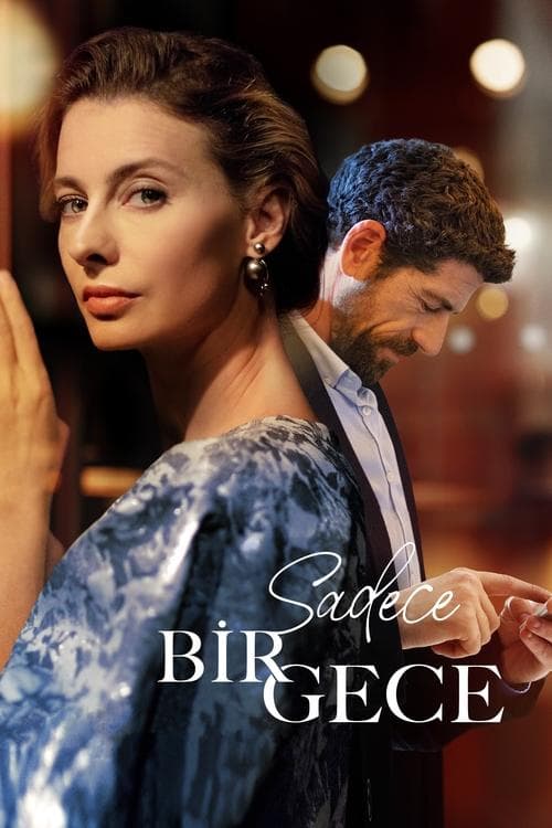 Sadece Bir Gece (2022) poster
