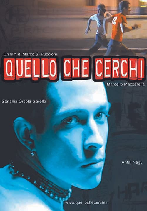 Quello che cerchi (2002) poster