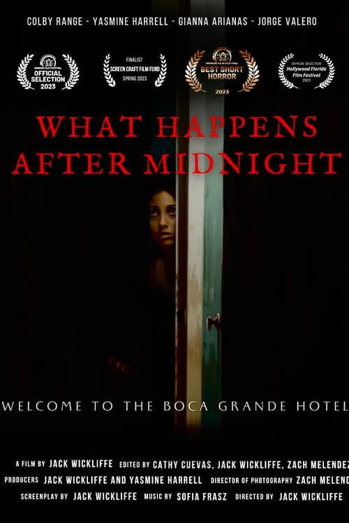 What Happens After Midnight (2024) poster