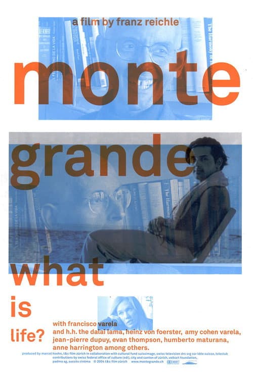 Monte Grande: What is Life? (2005) poster