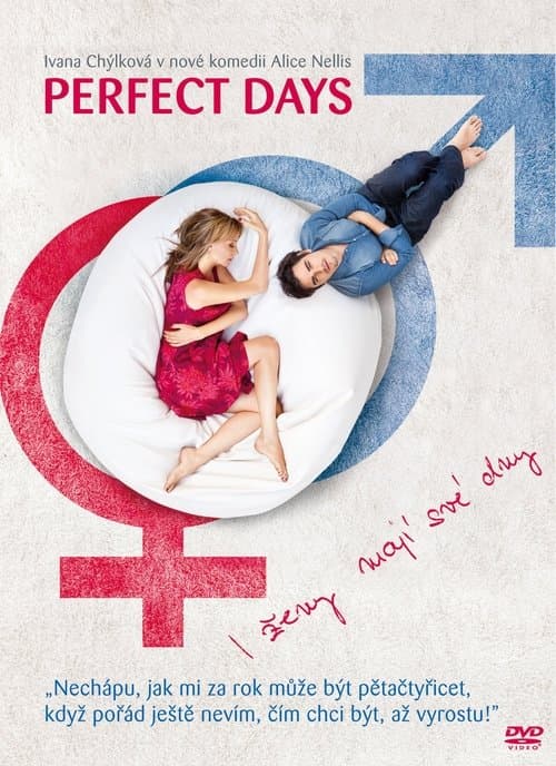 Perfect Days (2011) poster