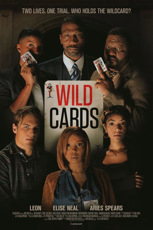 Wildcards (2026) poster