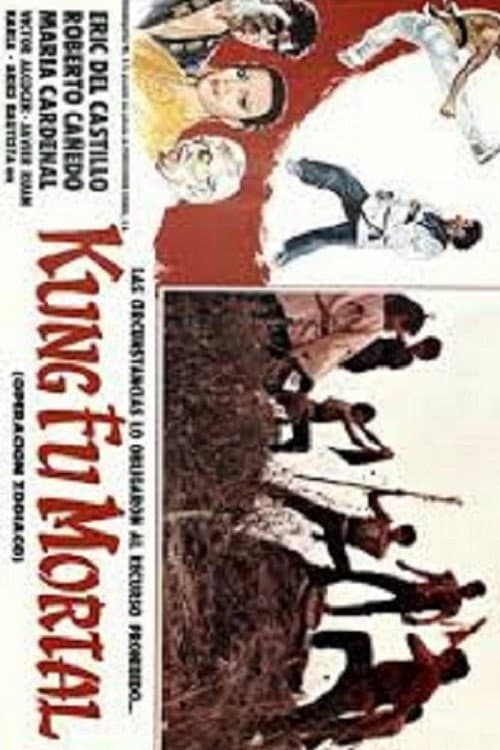 Kung fu mortal: Operación zodiaco (1987) poster