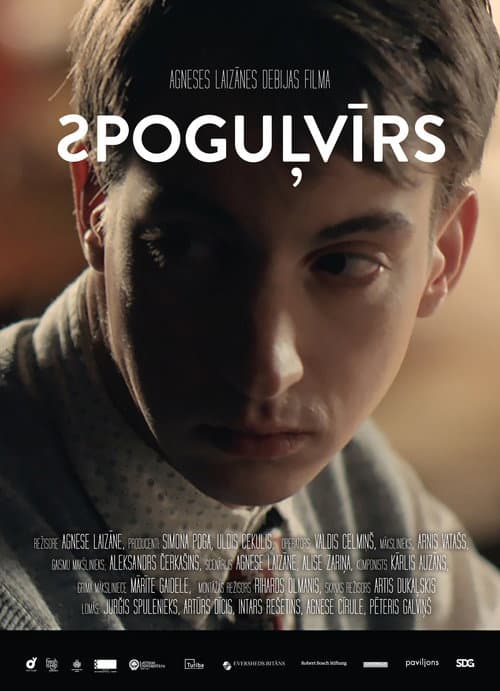Spoguļvīrs (2015) poster