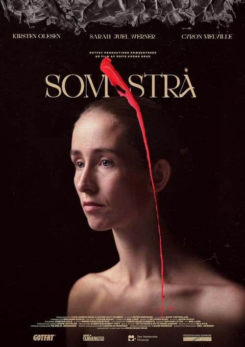 Som Strå (2022) poster