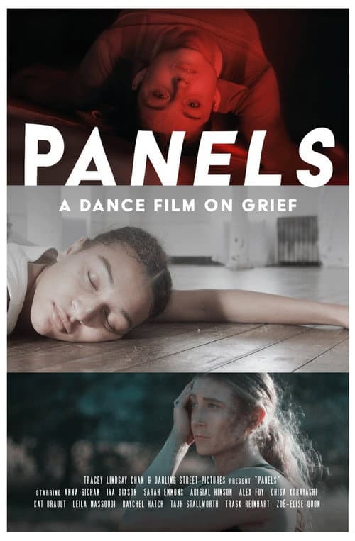 Panels (2024) poster
