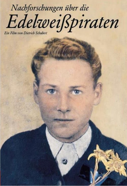 Nachforschungen über die Edelweißpiraten (1980) poster