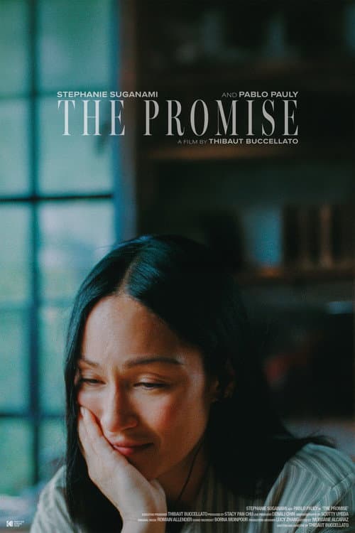 The Promise (2026) poster