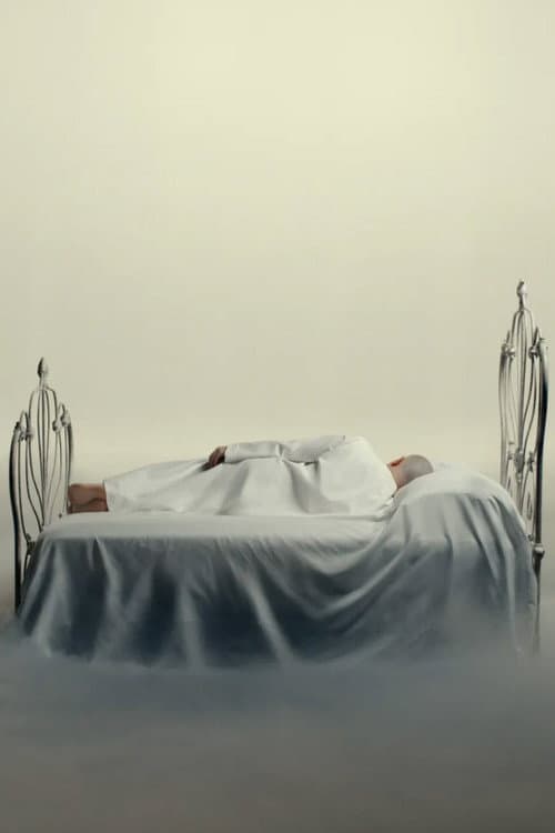 The Room (2026) poster