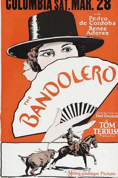 The Bandolero (1924) poster