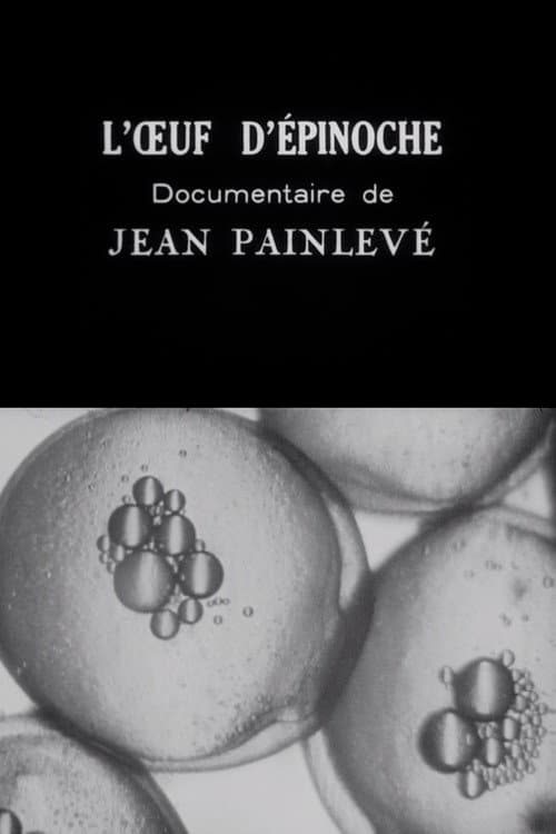 L'Oeuf d'épinoche (1925) poster