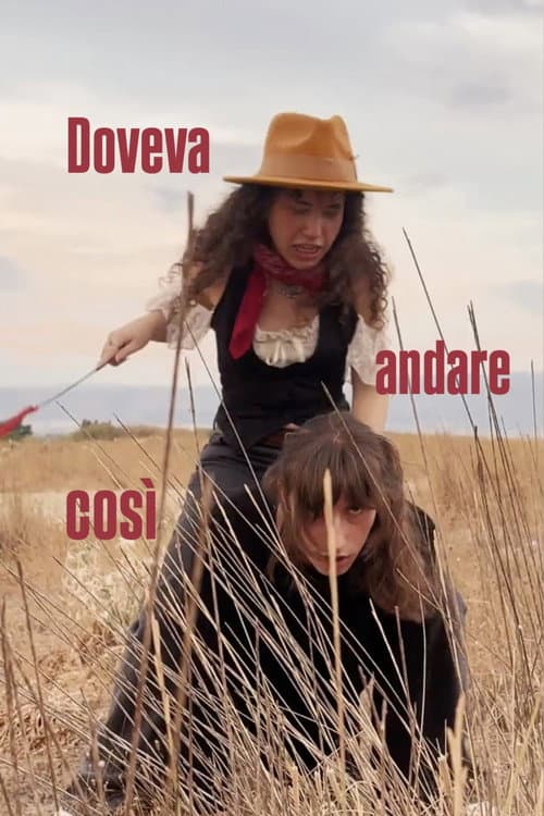 Doveva andare così (2026) poster