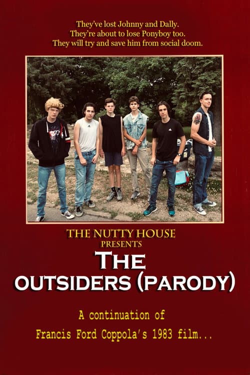 The Outsiders (Parody) (2021) poster