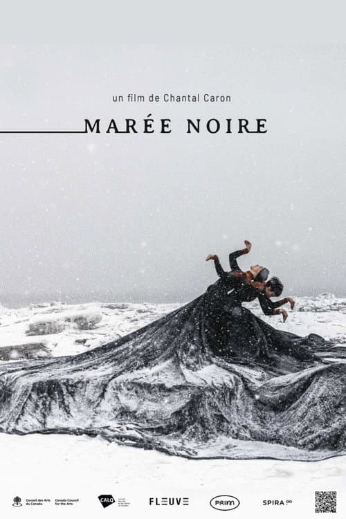 Marée noire (2024) poster