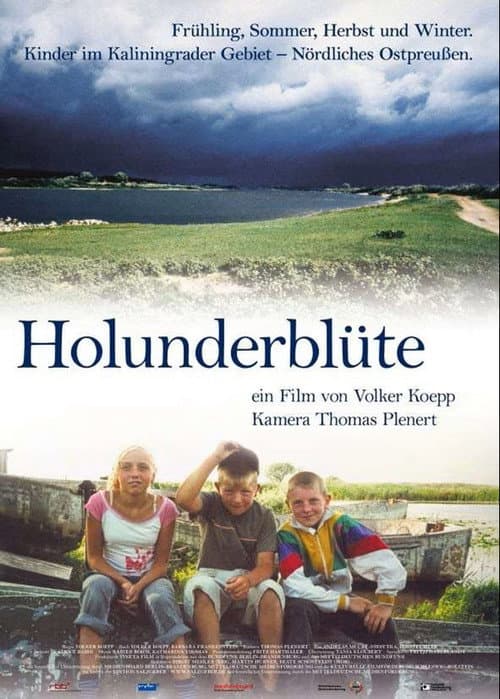 Holunderblüte (2007) poster