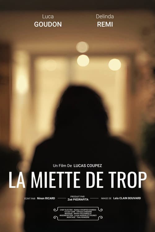 La Miette De Trop (2025) poster