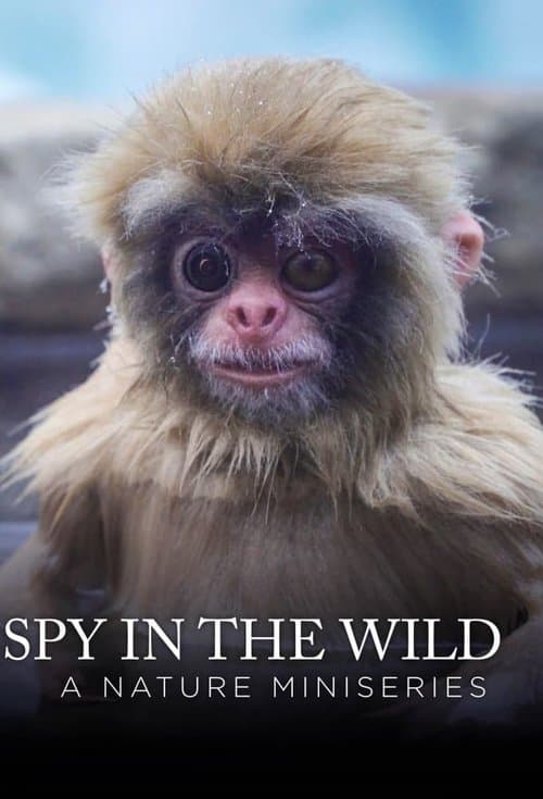 Spy in the Wild (2017) poster