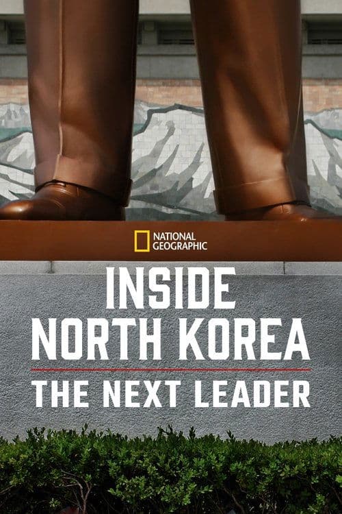 Inside North Korea: The Next Leader (2020) poster