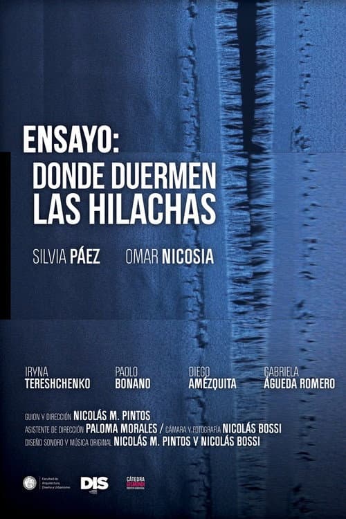 Ensayo: Donde duermen las hilachas (2018) poster
