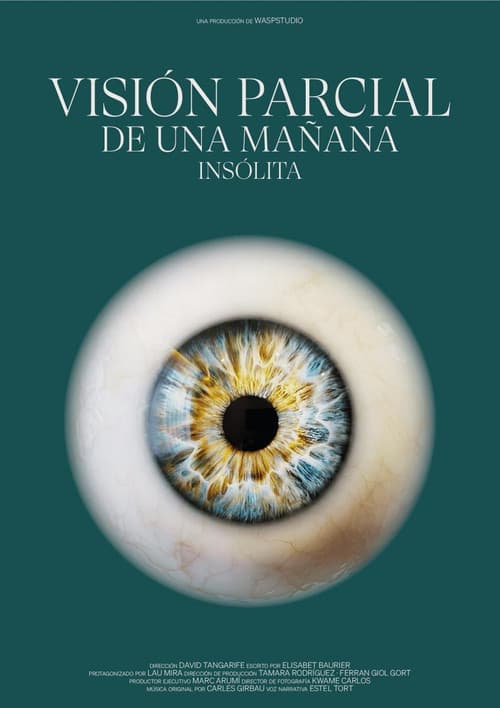 Visión Parcial de una Mañana Insólita (2023) poster