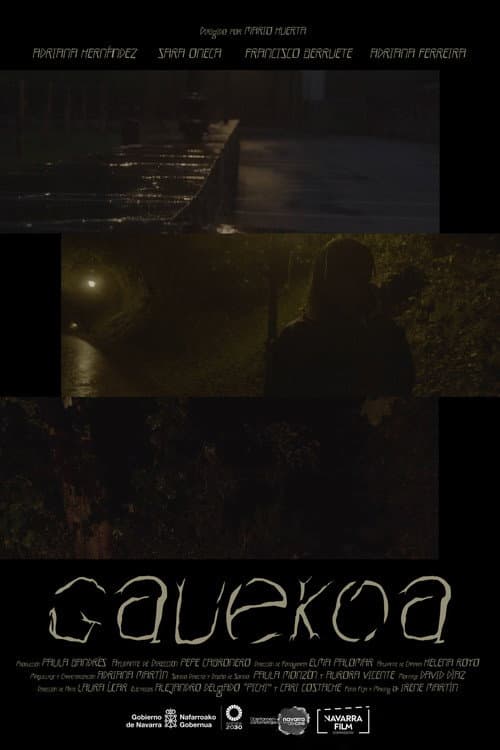 Gauekoa (2024) poster
