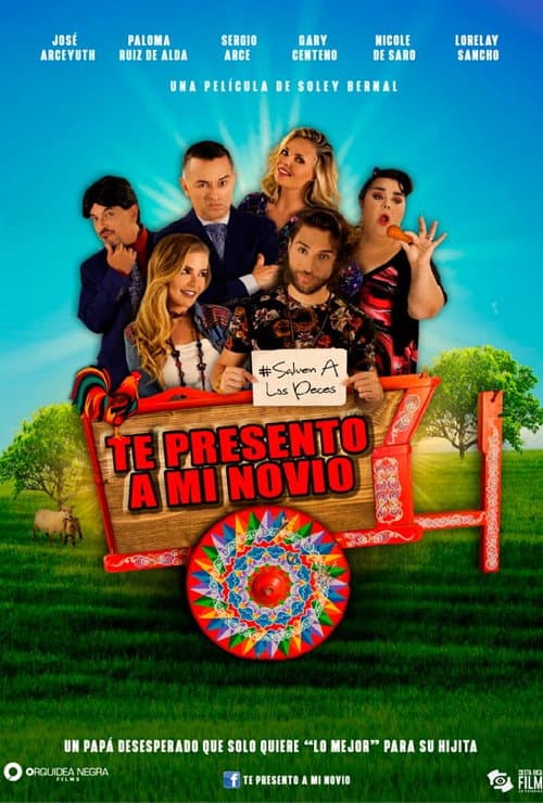 Te presento a mi novio (2019) poster