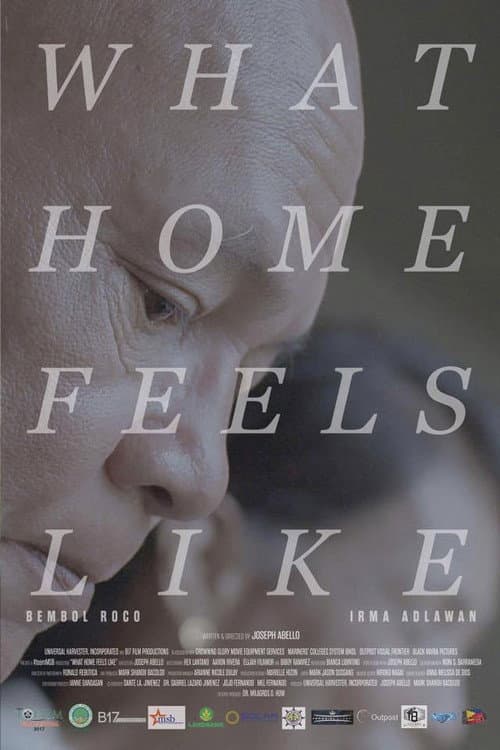 What Home Feels Like (2017) poster