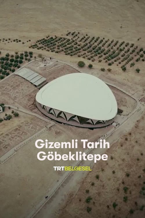 Gizemli Tarih: Göbeklitepe (2019) poster