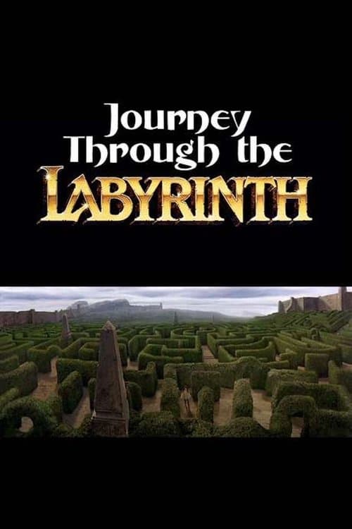 Journey Through the Labyrinth (2007) poster