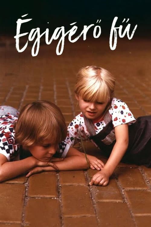 Égigérő fű (1979) poster