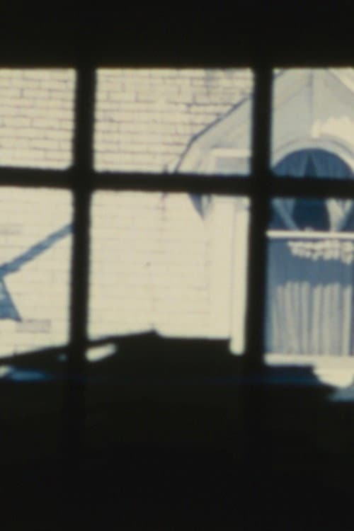 Marilyn's Window (1988) poster