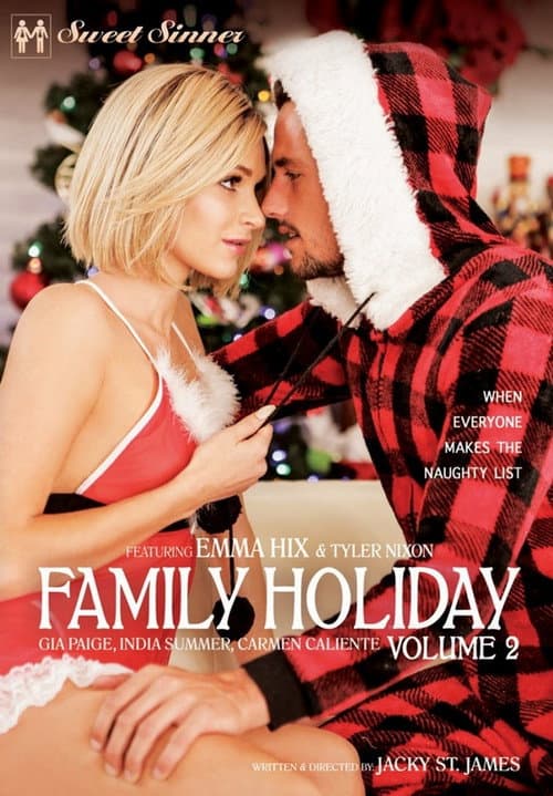 Family Holiday 2 (2018) poster