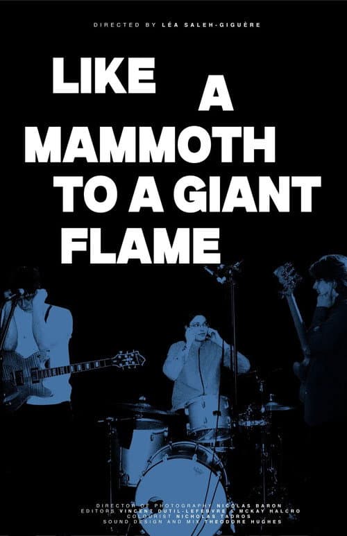 Like a Mammoth to a Giant Flame (2026) poster