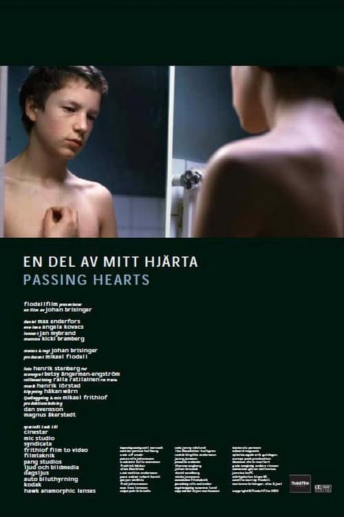 En del av mitt hjärta (2004) poster