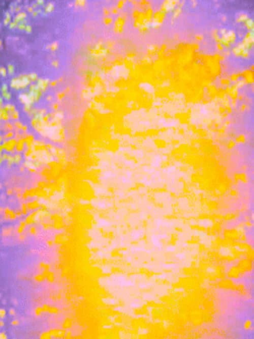Waking a Dream (2000) poster
