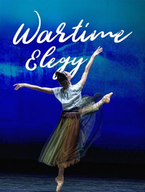 Wartime Elegy - Une soirée de ballet à l'Opéra national d'Ukraine (2024) poster