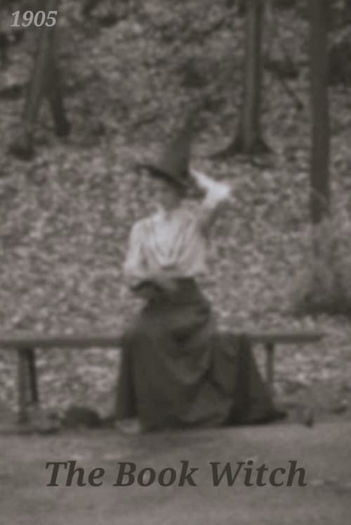 The Book Witch (1905) Silent Film (2018) poster