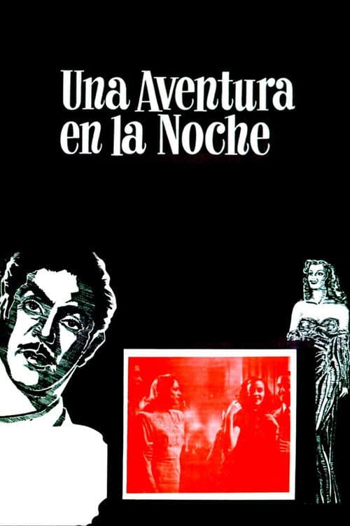 Una aventura en la noche (1948) poster