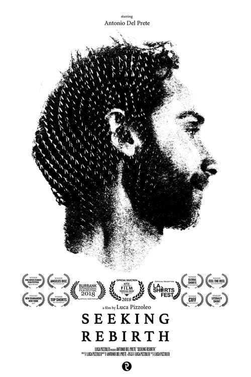 Seeking Rebirth (2017) poster