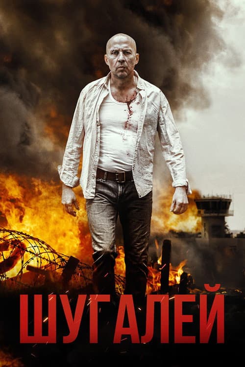 Шугалей (2020) poster
