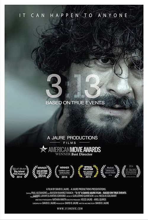 3:13 (2015) poster