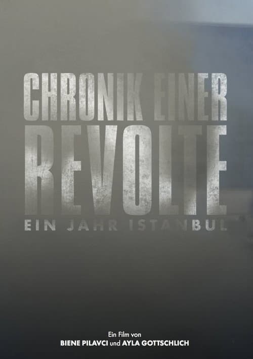 Chronik einer Revolte - Ein Jahr Istanbul (2015) poster