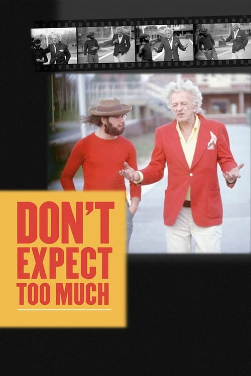 Don't Expect Too Much (2011) poster